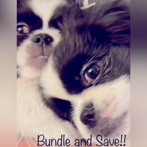 Don’t Forget To Bundle!!🐶🐶